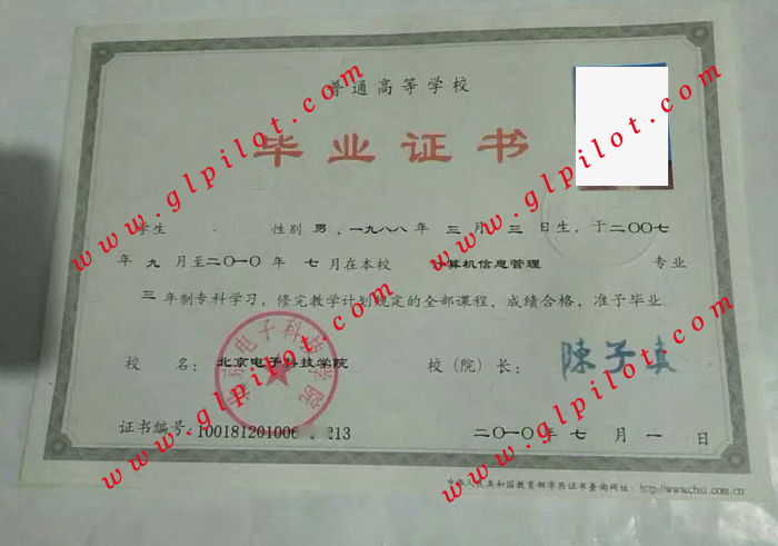 2010北京电子科技学院专科毕业证样本图片