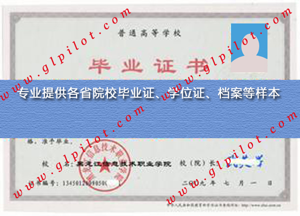2009年黑龙江信息技术职业学院毕业证样本_模板_图片