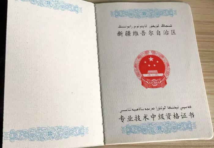 新疆维吾尔自治区专业技术中级资格证书内页图片