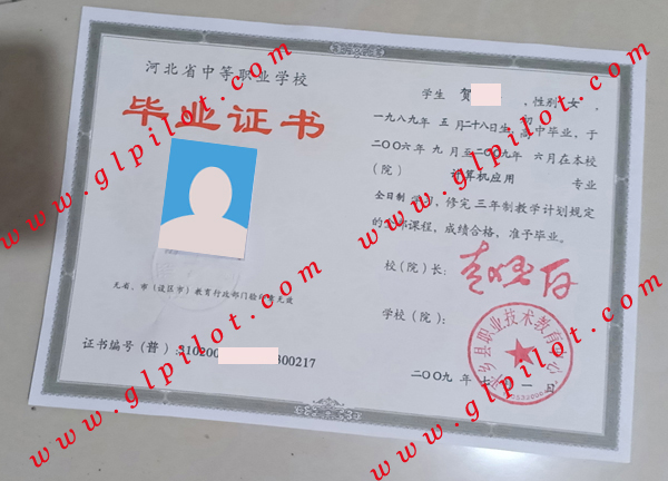 2009年平乡县职业技术教育中心毕业证样本图片 2009年平乡县职业技术教育中心毕业证样本图片