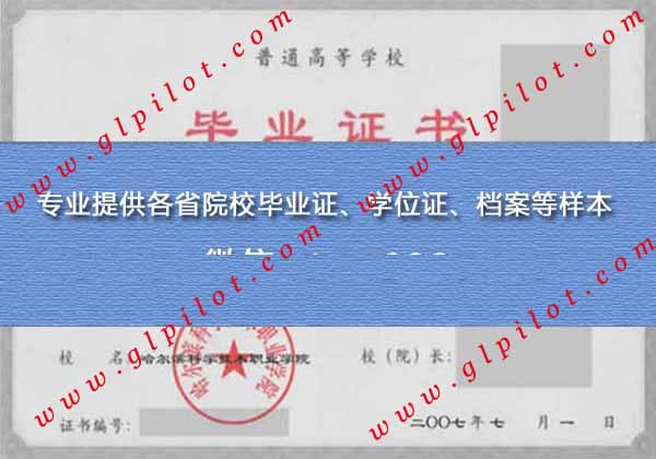 2007年哈尔滨科学技术职业学院毕业证样本图片