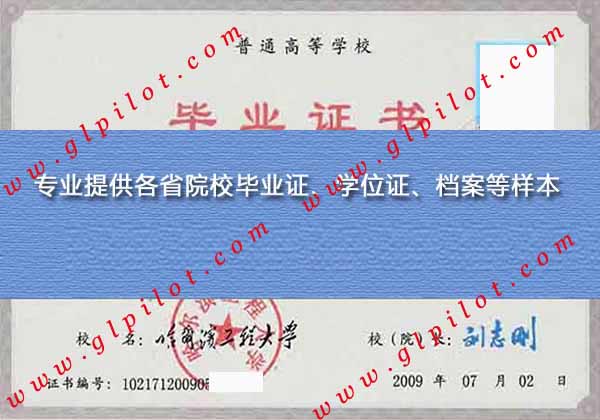 2009年哈尔滨工程大学本科毕业证样本图片 2009年哈尔滨工程大学本科毕业证样本图片