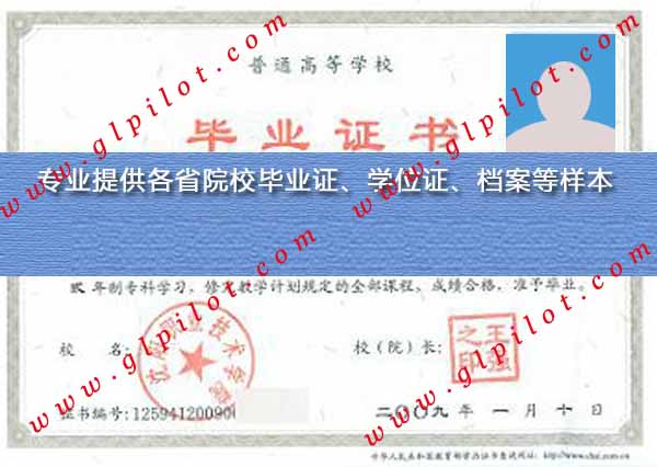 2009年沈阳职业技术学院毕业证样本图片 2009年沈阳职业技术学院毕业证样本图片