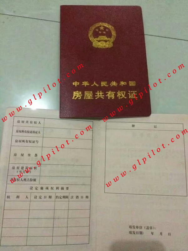 中华人民共和国房屋共有权证样本_模板_图片