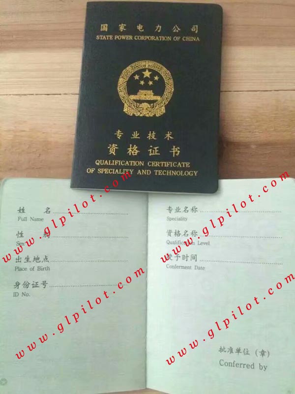 国家电力公司专业技术资格证书样本_模板_图片 国家电力公司专业技术资格证书样本_模板_图片