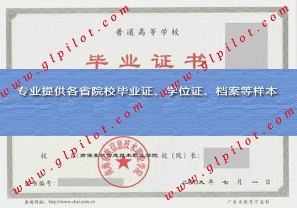 2009年广东东软学院(南海东软信息技术职业学院)毕业证样本_模板_图片