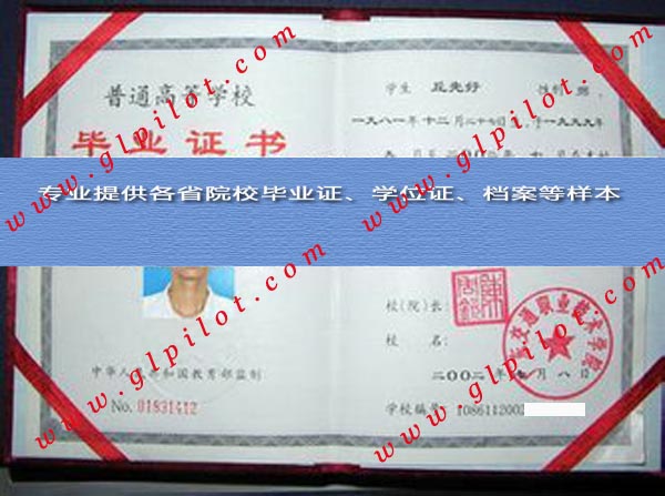 2002年广东科学技术职业学院毕业证样本_模板_图片