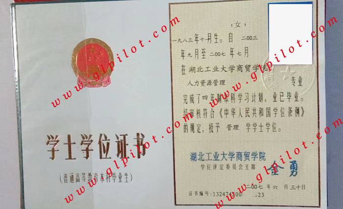 2007年湖北工业大学商贸学院学士学位证书样本_模板_图片