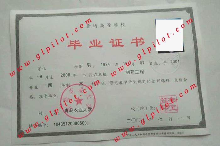 2008年青岛农业大学本科毕业证样本_模板_图片