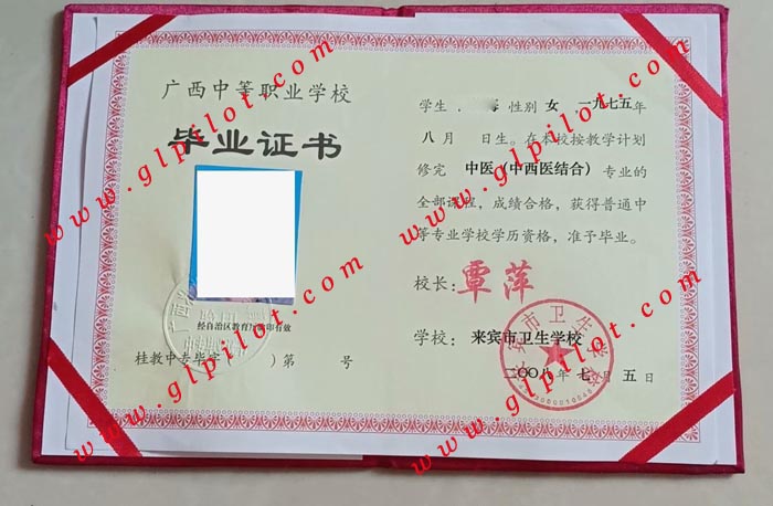 2008年来宾市卫生学校毕业证样本图片 2008年来宾市卫生学校毕业证样本图片