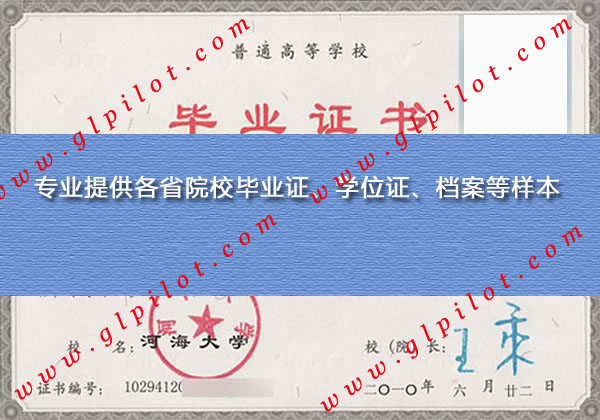 2010年河海大学大专毕业证样本_模板_图片