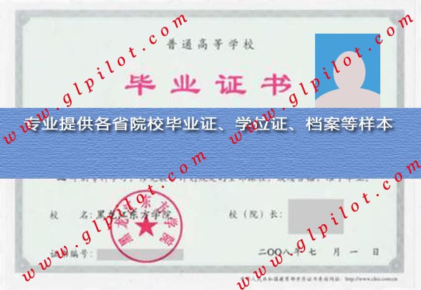 2008年黑龙江东方学院毕业证样本_模板_图片