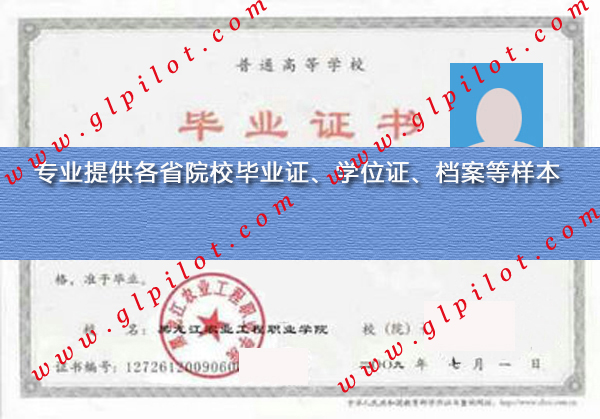 2009年黑龙江农业工程职业学院毕业证样本_模板_图片