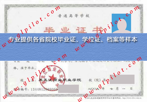 2009年黑龙江商业职业学院毕业证样本_模板_图片 2009年黑龙江商业职业学院毕业证样本_模板_图片