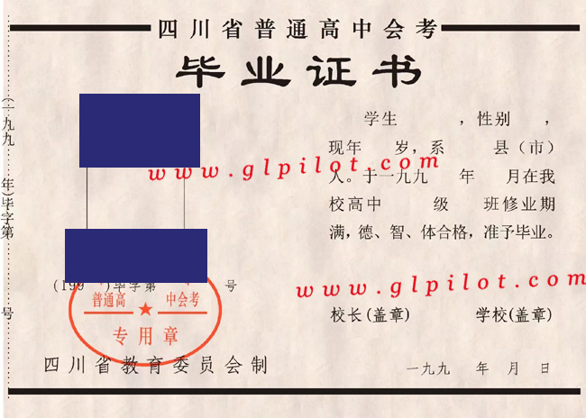 四川省90年代高中毕业证图片哪里补 2023/07/03上传