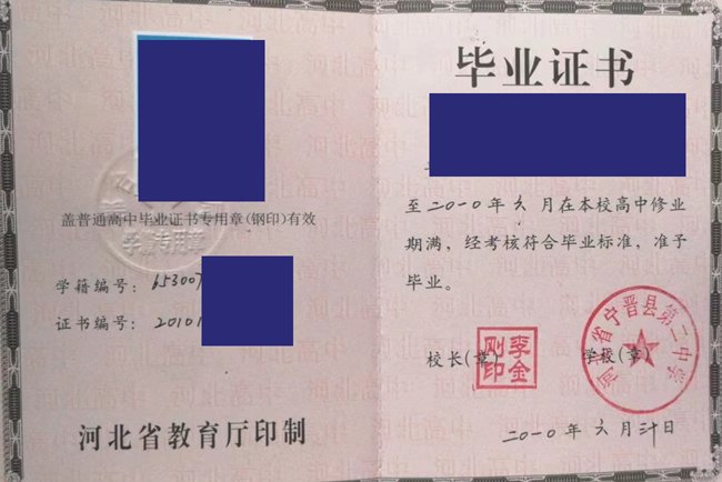 河北省宁晋县第二中学2010年高中毕业证样本图片展示