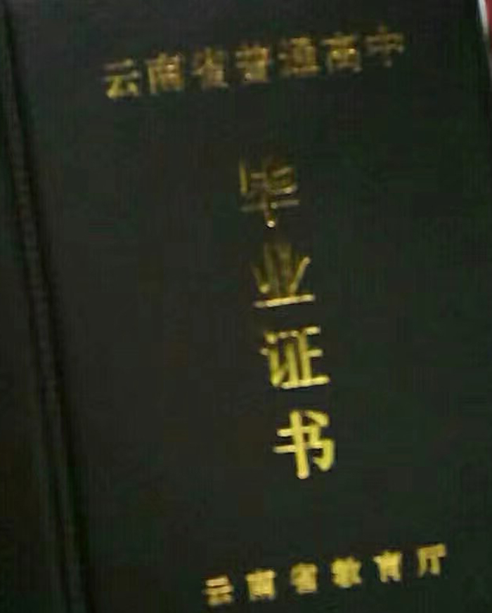 云南省石林县第一中学2008年高中毕业证样本图片