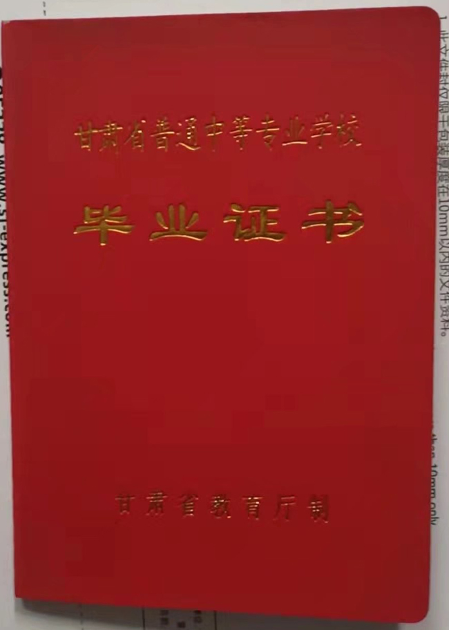 甘肃省中专陇南市卫生学校2008年毕业证样本图片