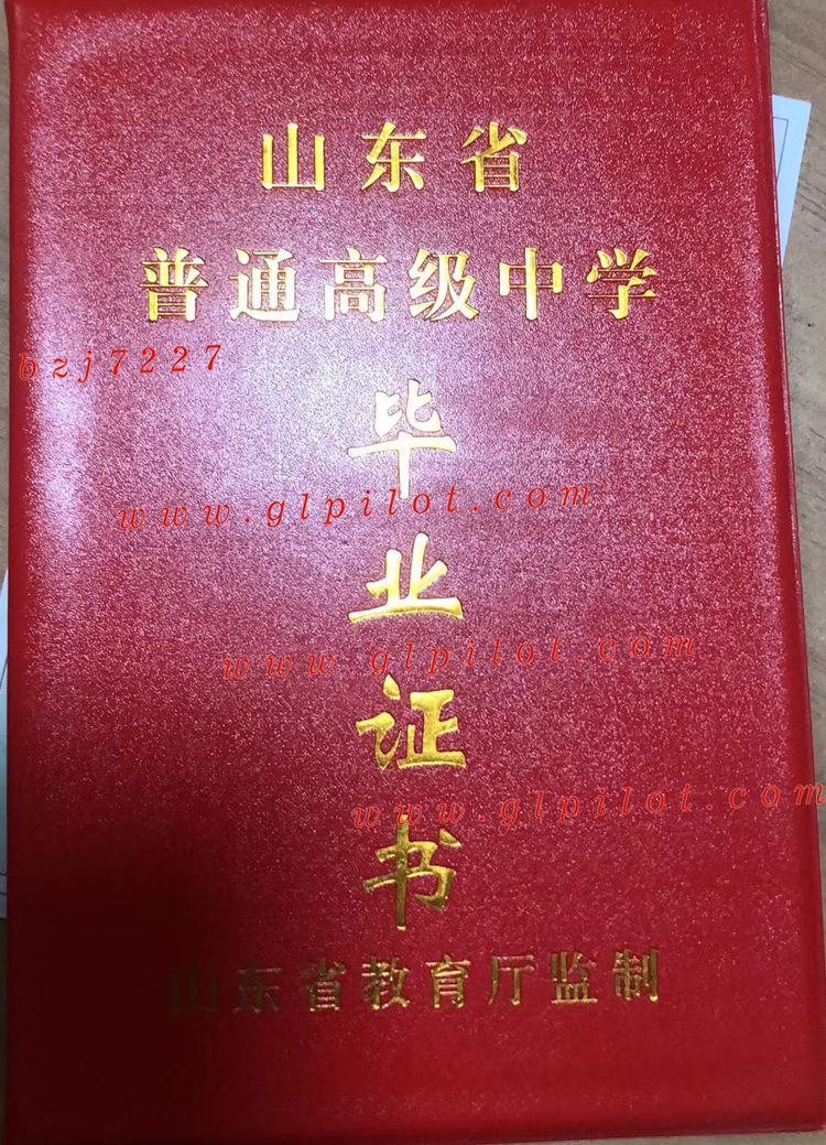 山东省枣庄市薛城舜耕中学高中毕业证样本