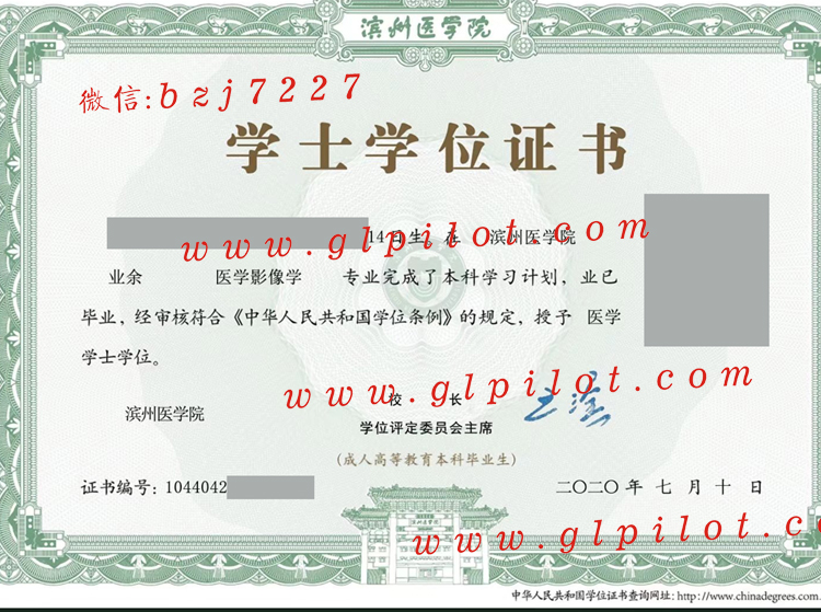 滨江医学院2020年毕业证学位证样本图片 2023-11-01