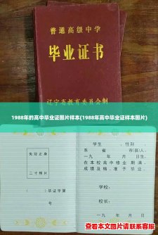 1988年的高中毕业证图片样本(1988年高中毕业证样本图片)