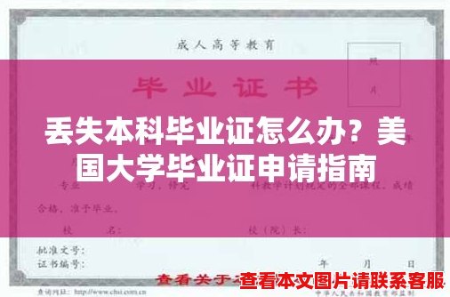 丢失本科毕业证怎么办？美国大学毕业证申请指南