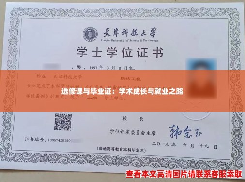 选修课与毕业证：学术成长与就业之路