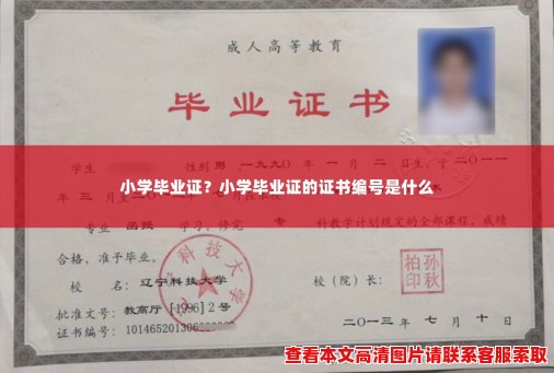 小学毕业证？小学毕业证的证书编号是什么