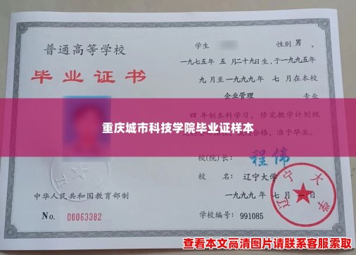 重庆城市科技学院毕业证样本
