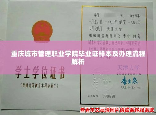 重庆城市管理职业学院毕业证样本及办理流程解析