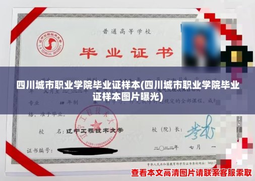 四川城市职业学院毕业证样本(四川城市职业学院毕业证样本图片曝光) 四川城市职业学院毕业证样本(四川城市职业学院毕业证样本图片曝光)