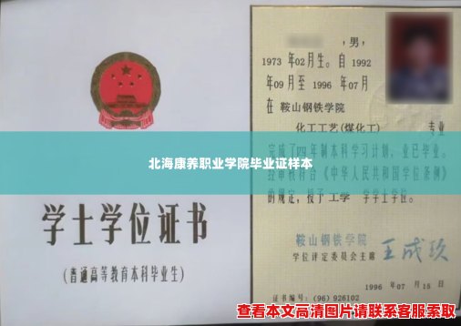 北海康养职业学院毕业证样本