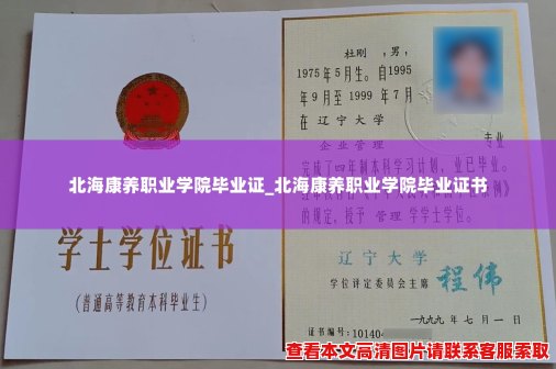 北海康养职业学院毕业证_北海康养职业学院毕业证书