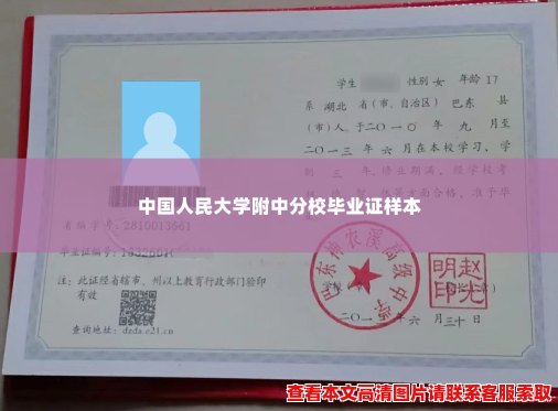 中国人民大学附中分校毕业证样本