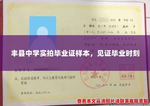 丰县中学实拍毕业证样本，见证毕业时刻