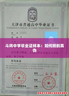 斗鸡中学毕业证样本:如何辨别真伪 斗鸡中学毕业证样本:如何辨别真伪