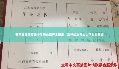 苍南县钱库高级中学毕业证样本展示,别样的文凭上山下乡走天涯 苍南县钱库高级中学毕业证样本展示,别样的文凭上山下乡走天涯