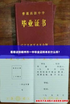 看看这份郴州市一中毕业证样本长什么样？