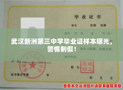 武汉新洲第三中学毕业证样本曝光，警惕制假！