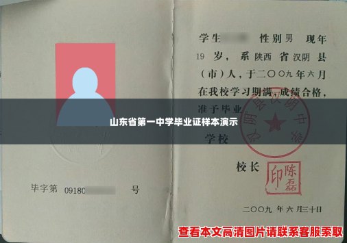 山东省第一中学毕业证样本演示
