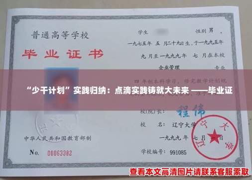 “少干计划”实践归纳:点滴实践铸就大未来 ——毕业证 “少干计划”实践归纳:点滴实践铸就大未来 ——毕业证