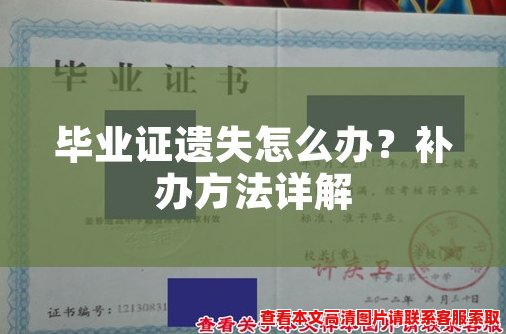 毕业证遗失怎么办？补办方法详解