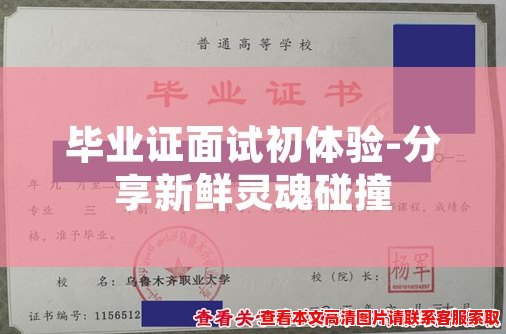 毕业证面试初体验-分享新鲜灵魂碰撞