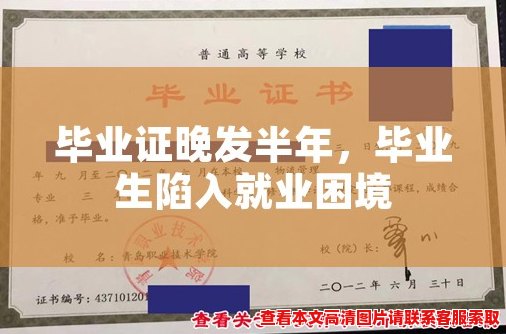 毕业证晚发半年,毕业生陷入就业困境 毕业证晚发半年,毕业生陷入就业困境