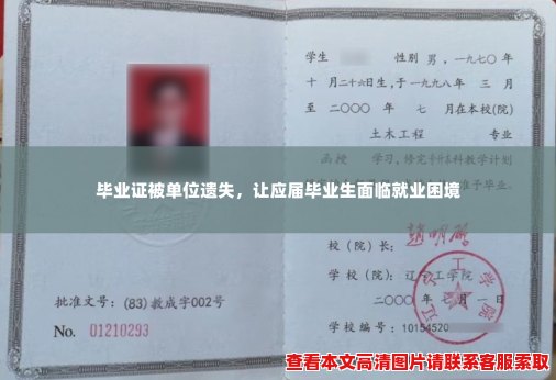 毕业证被单位遗失，让应届毕业生面临就业困境