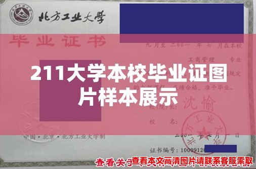 211大学本校毕业证图片样本展示 211大学本校毕业证图片样本展示