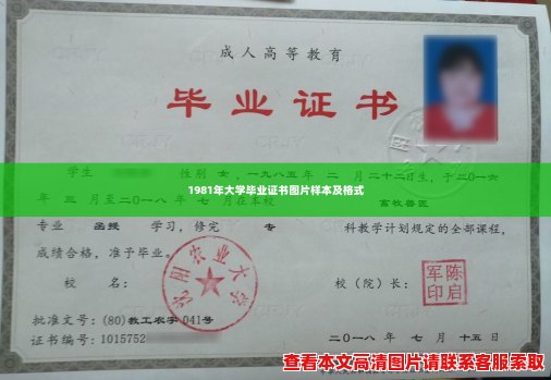1981年大学毕业证书图片样本及格式 1981年大学毕业证书图片样本及格式