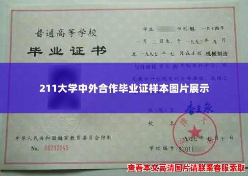 211大学中外合作毕业证样本图片展示