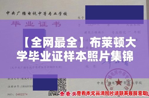 【全网最全】布莱顿大学毕业证样本照片集锦