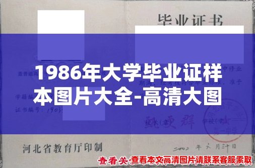 1986年大学毕业证样本图片大全-高清大图展示